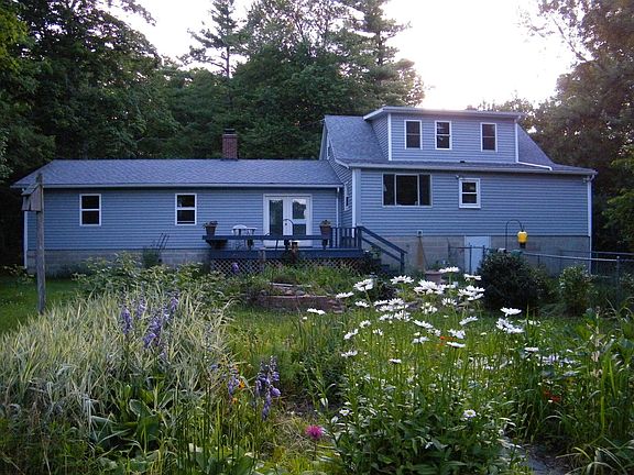 View from the back yard
