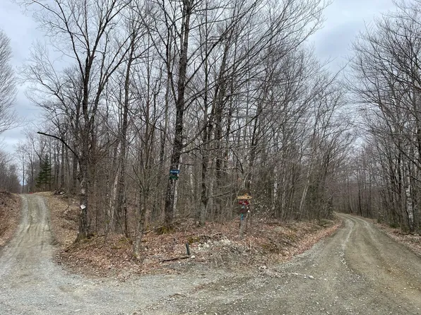 M01Lot89.3 Hancock Pond Rd Road, Lexington Twp, ME 04961