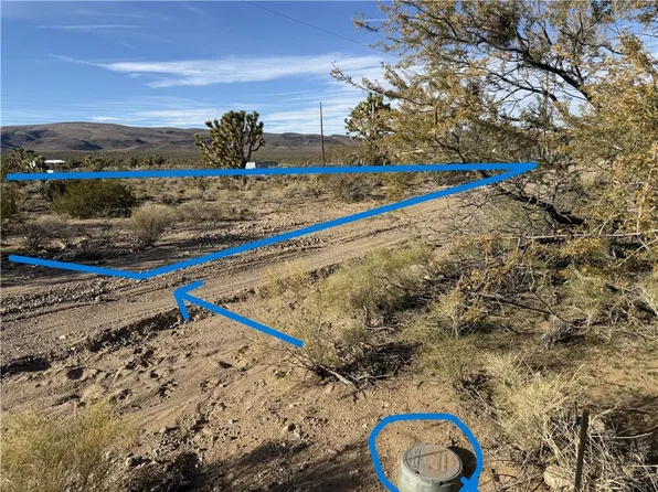 18933 N Remuda Dr, Dolan Springs, AZ 86441