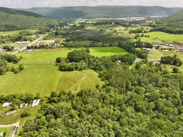 0 Conkrite Rd, Cayuta, NY 14824