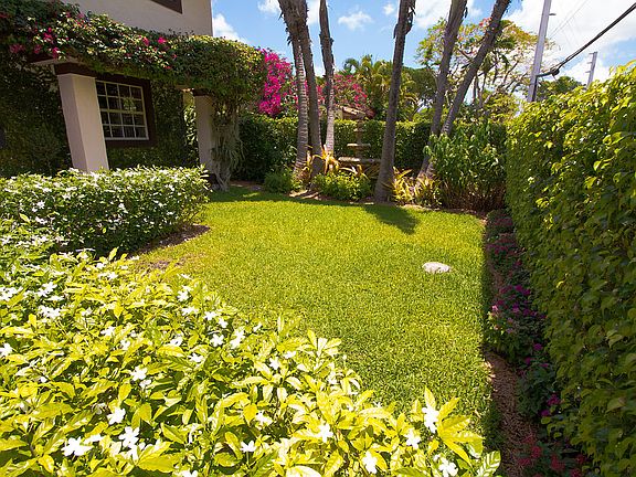 Front Yard