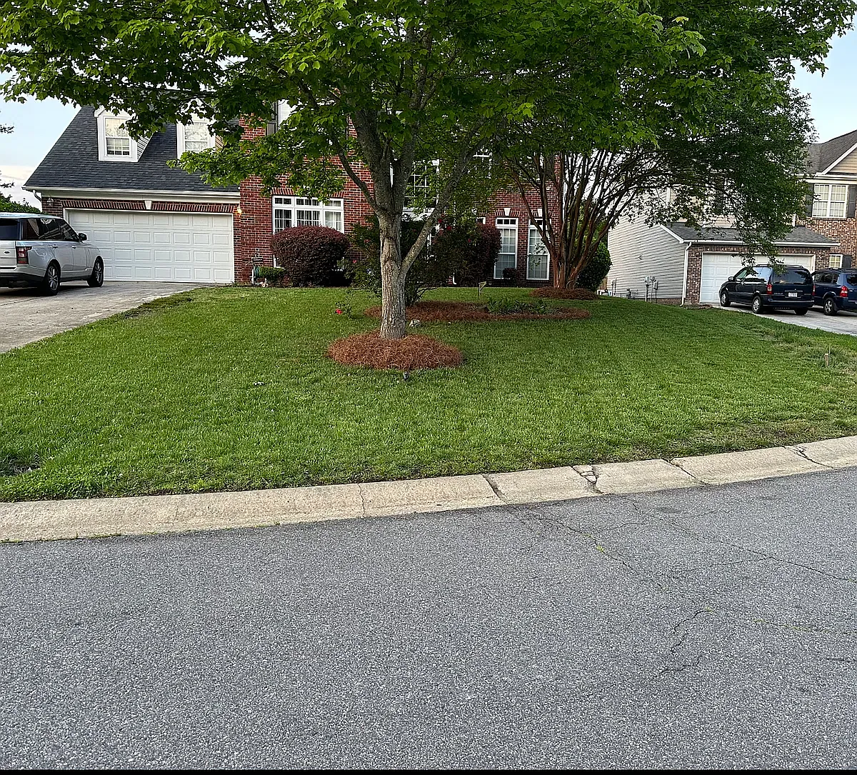 4 bed, 3370 sqft, $2,700 — Photo 2