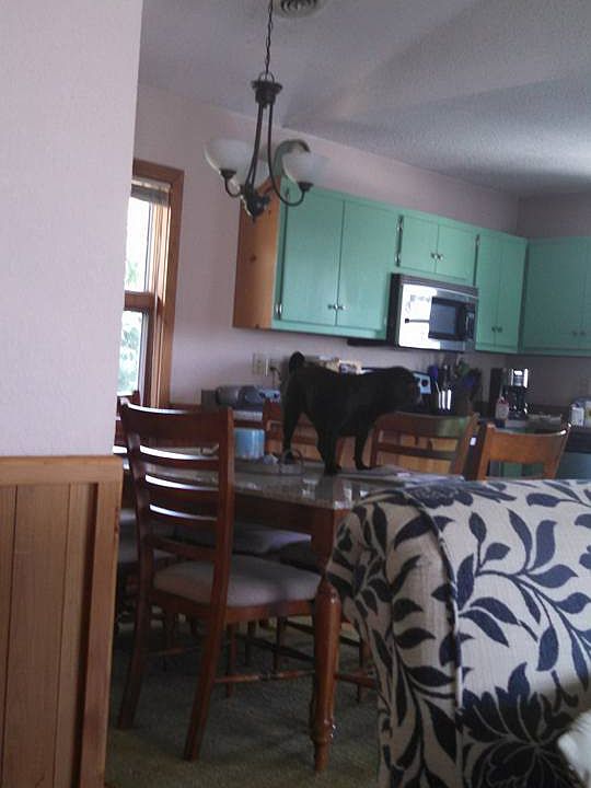 2nd image of 415 Colington Dr