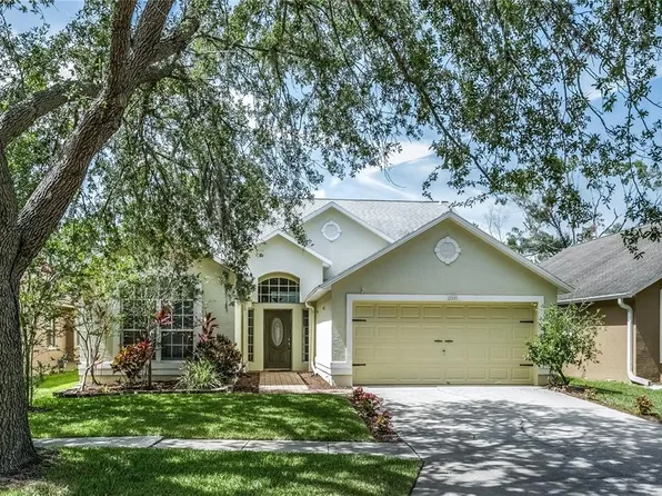 12335 Glenfield Ave, Tampa, FL 33626