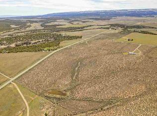 16390 Pinyon Park Ln, Glade Park, CO 81523
