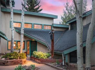 205 S Harris St #C, Breckenridge, CO 80424