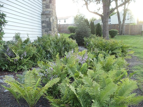 Chimney side of house