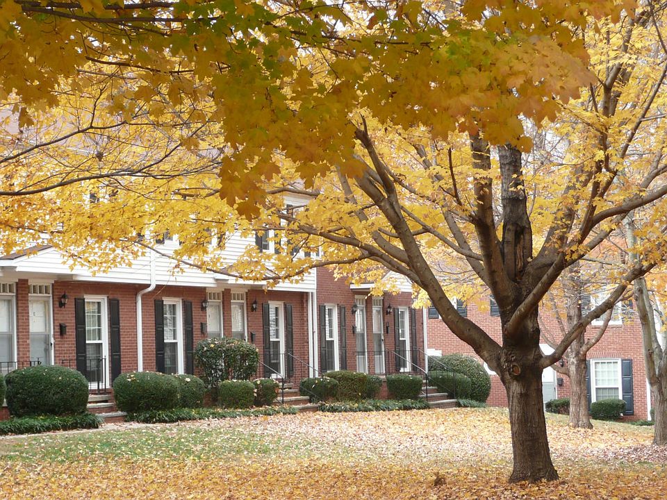 Transition with us into Autumn at Elmhurst @ Sedgefield