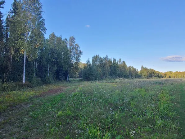 2620 D & M Rd, Fairbanks, AK 99712