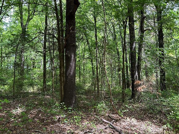 2nd image of 0 Highway 245