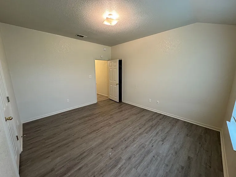2609 Vernice Loop — Photo 19