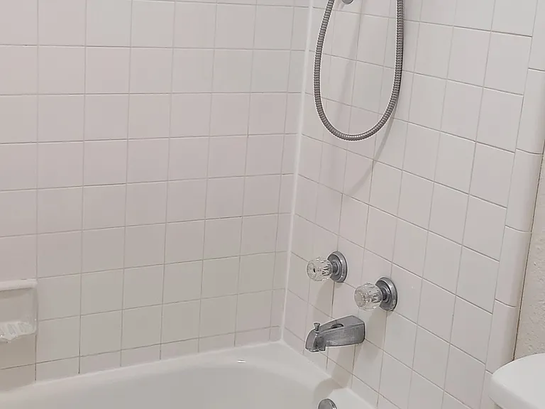Main bath tub