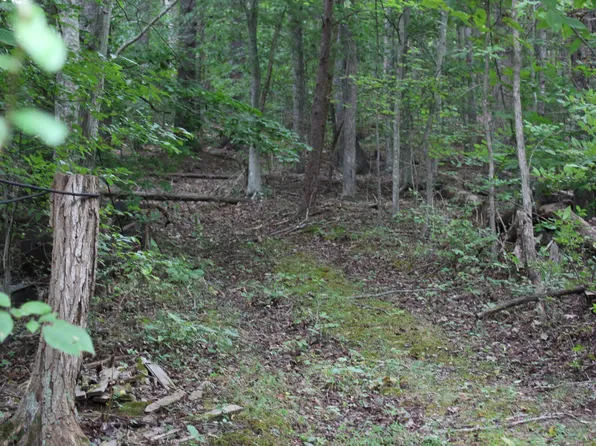 198 Hill Cemetery Ln, Natural Bridge Station, VA 24579