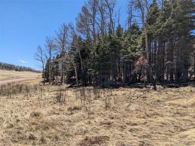 2056 Forbes Park Road, Fort Garland, CO, 81133