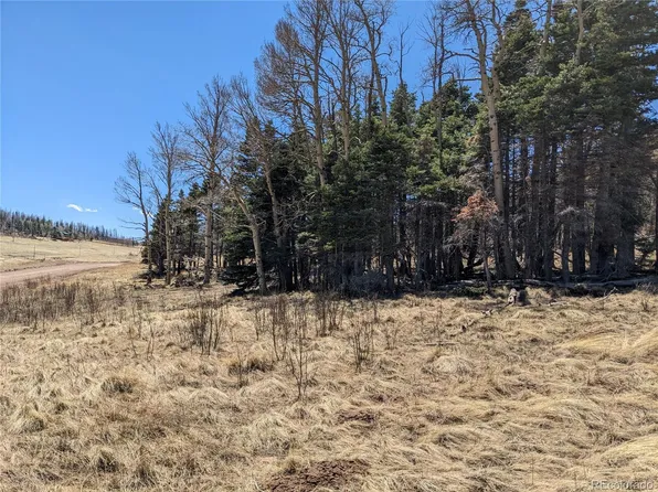 2056 Forbes Park Road, Fort Garland, CO 81133