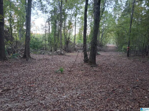 150 Harts Ferry Rd #1, Ohatchee, AL 36271