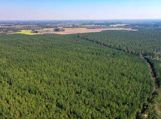 0 Cedar Swamp Rd, Kingstree, SC 29556