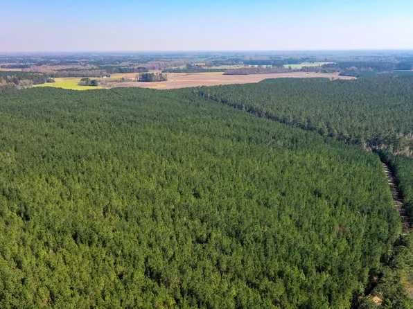 0 Cedar Swamp Rd, Kingstree, SC 29556