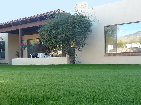 From Backyard to patio