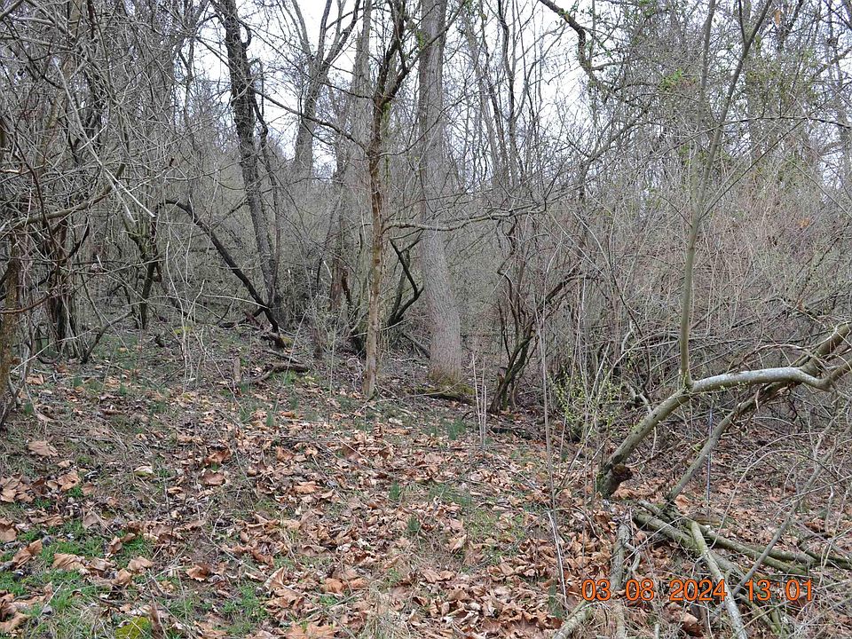 2nd image of LOT 48 Poplar St