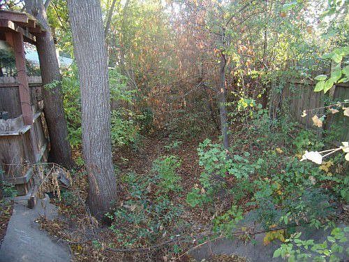 2nd image of 6507 Columbia Oaks Ct