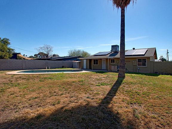 Backyard_9572