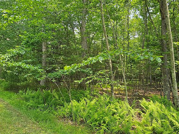 2nd image of Lot 3 Woods Road