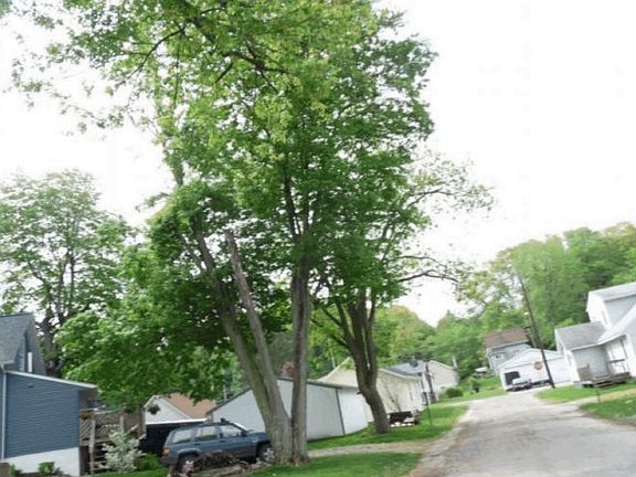 3rd image of 1450 7th St