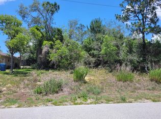 4029 Chadwick Ave LOT 20, Spring Hill, FL 34608