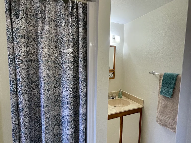 bathroom shower and vanity
