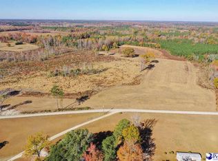 Diamond Head Loop, Florence, SC 29505