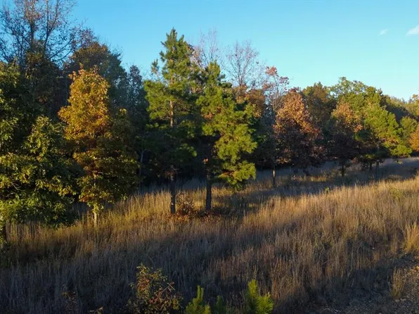 0 Bb Hwy, Fairdealing, MO 63939