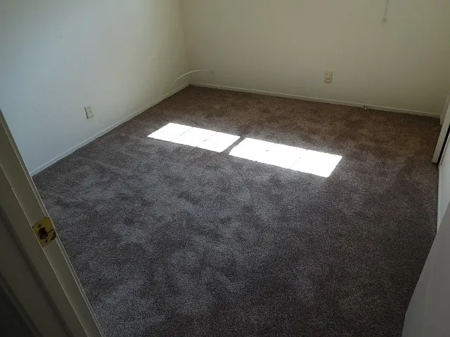 4209 Horgan Way — Photo 17