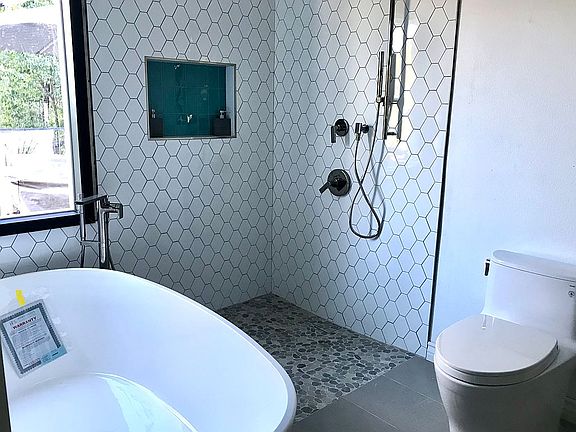 Master bath shower 