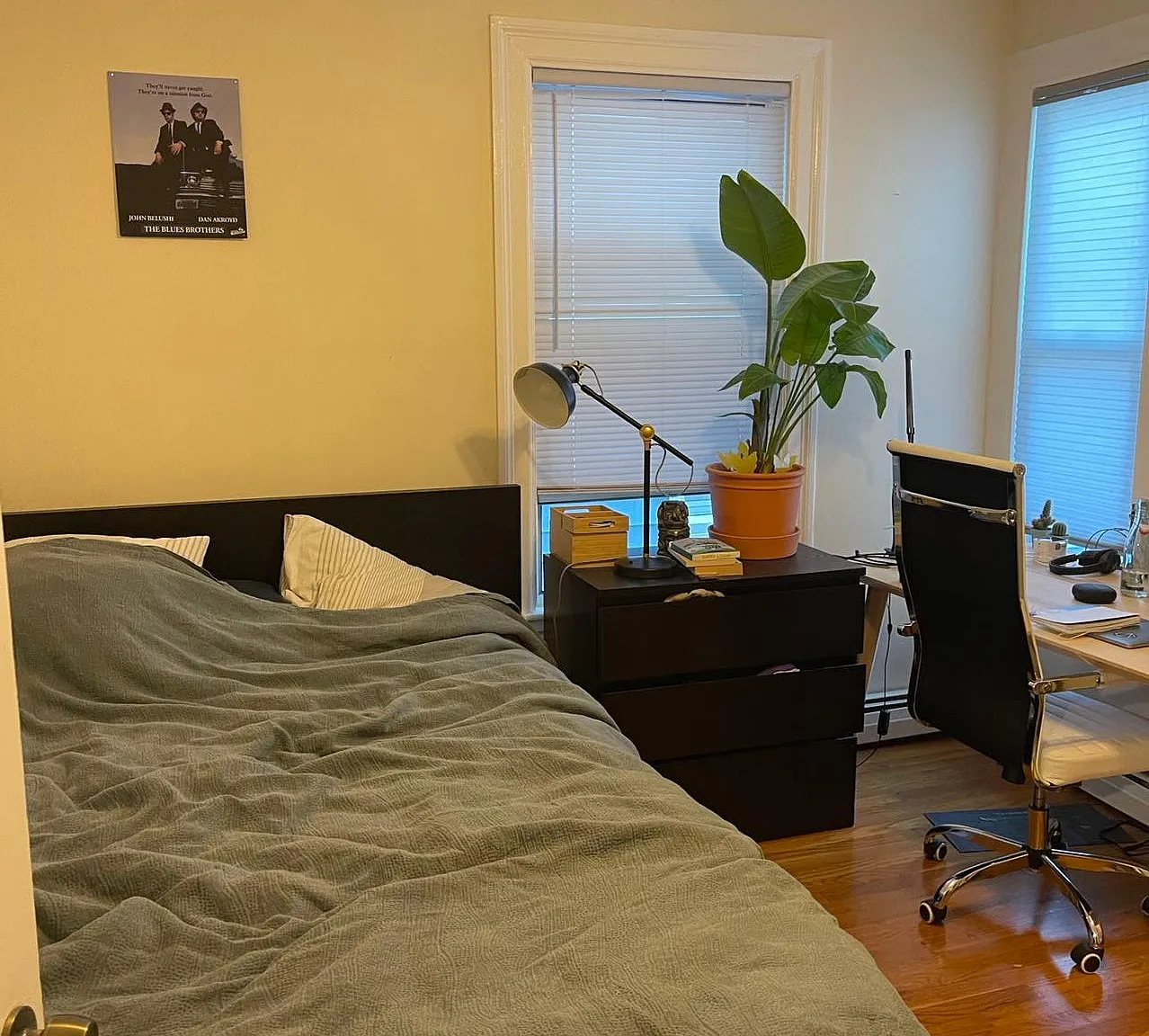 3 bed, 895 sqft, $3,950 — Photo 4