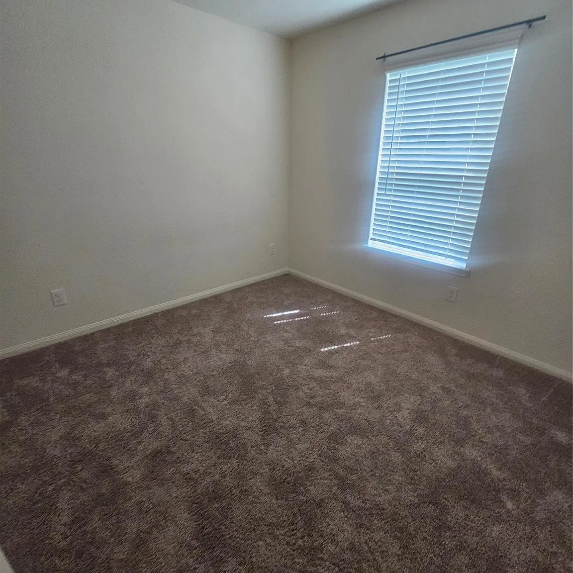 3 bed, 2.0 bath, 1392 sqft, $2,000 — Photo 4