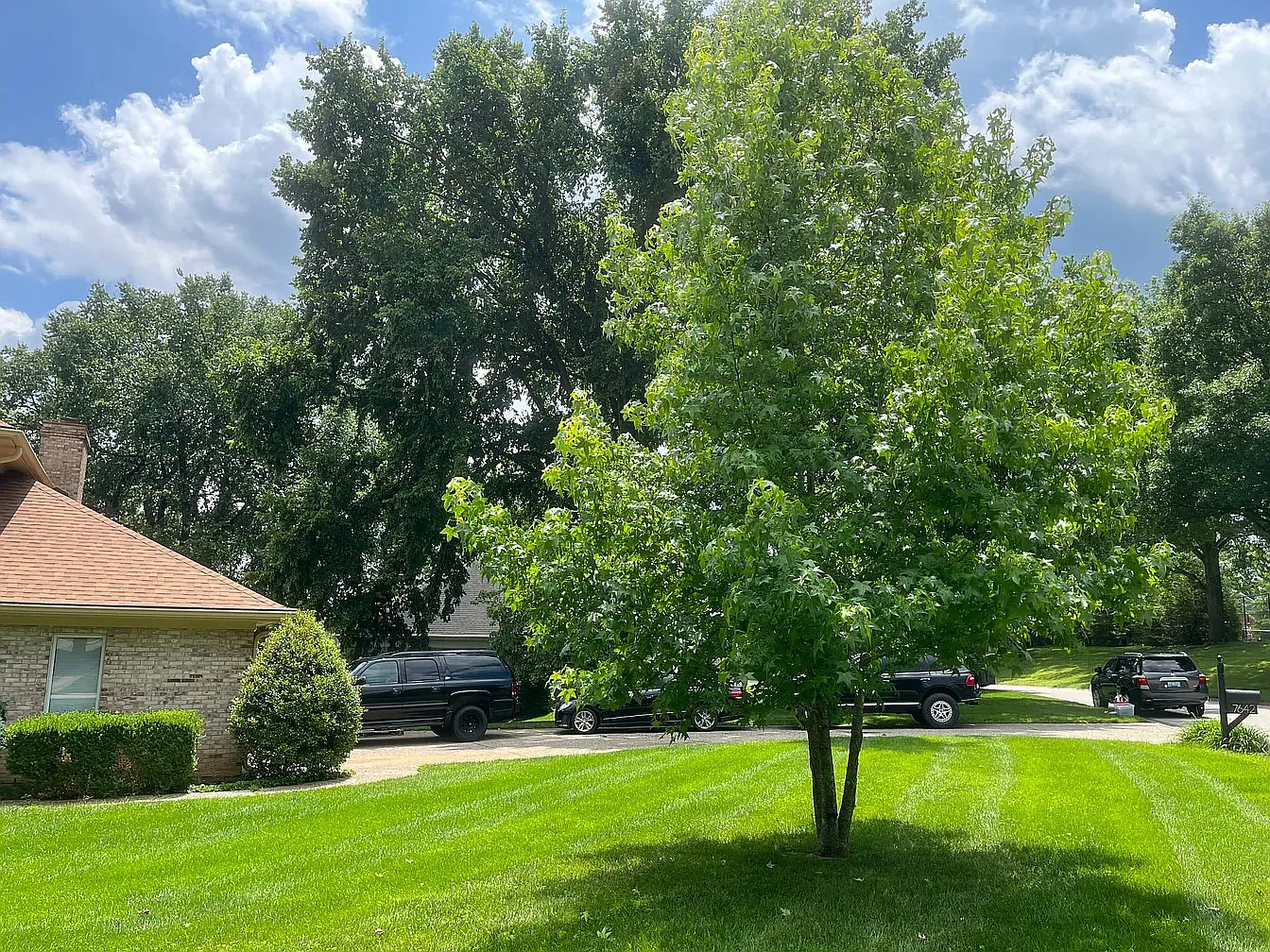4 bed, 3.5 bath, 4381 sqft, $3,400 — Photo 4