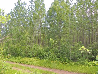 76 Murphy Dr LOT 3, Grand Marais, MN, 55604