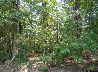 2-98 W Holly Trl, Hawkins, TX 75765