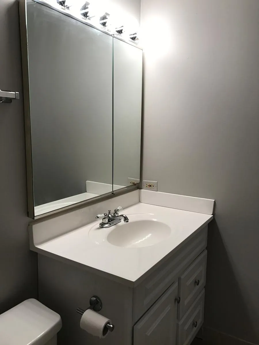 Bathroom - 1122 N Clark St #1902