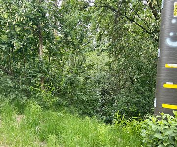 Lot 79 Manter Meadow Drive, California Hot Springs, CA, 93207