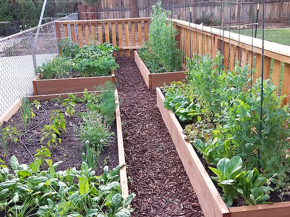 Garden planting Boxes