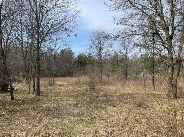 L35 Halls Point ROAD #35, Necedah, WI 54646