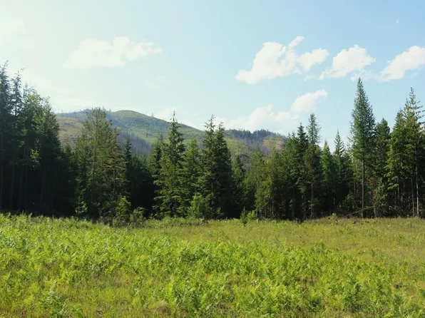 Nka Slippery Slope Trl, Priest River, ID 83856