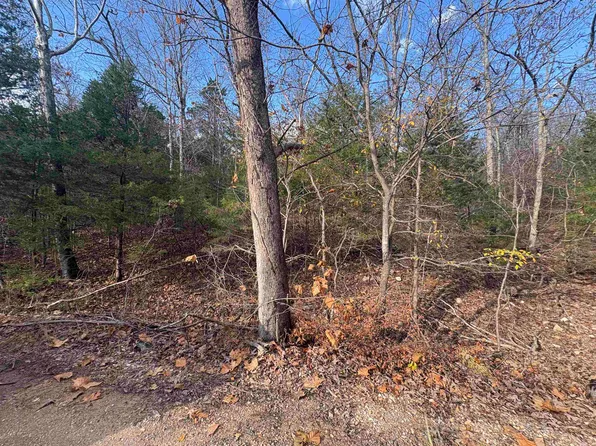 TRACT Crystal Oaks Trl #D, Gamaliel, AR 72537