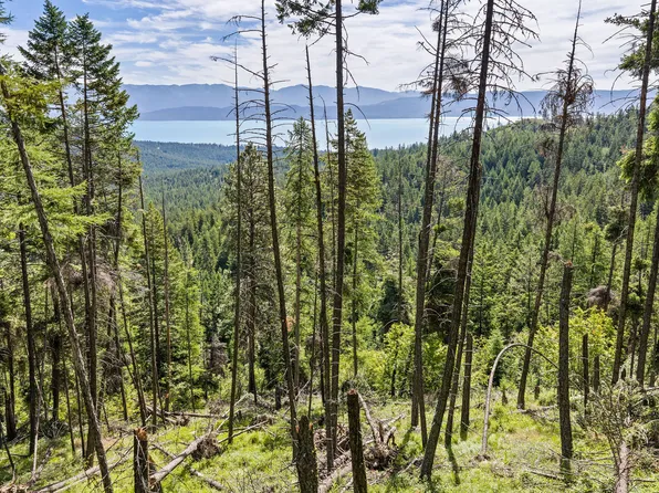 64 Lone Wolf Trl, Lakeside, MT 59922