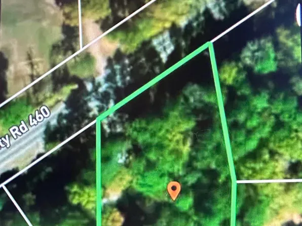 County Road 460, Trinity, AL 35673