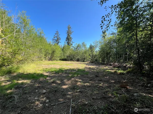 24 X Munn Road, Quilcene, WA 98376