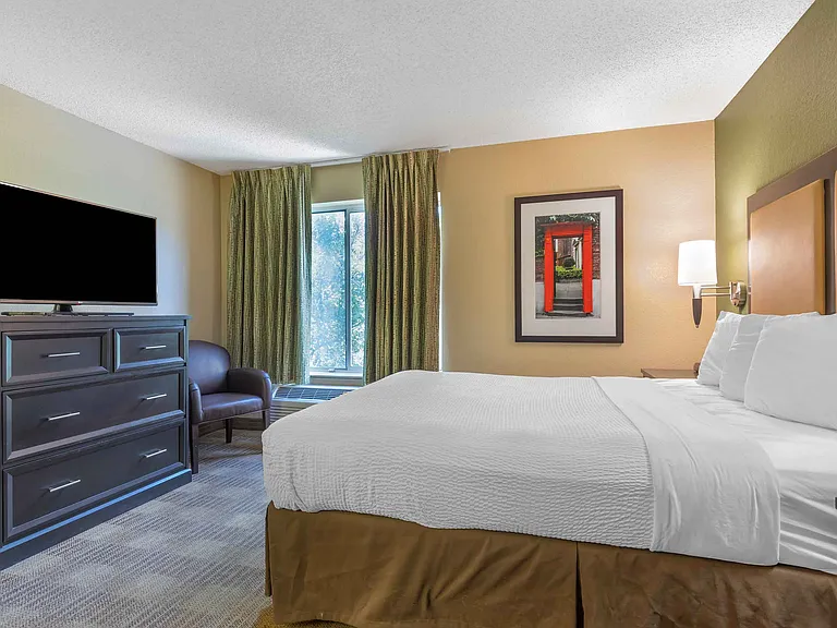 Studio Suite - 1 Queen Bed