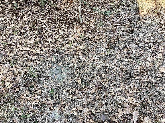 4th image of 67 McIntyre Rd